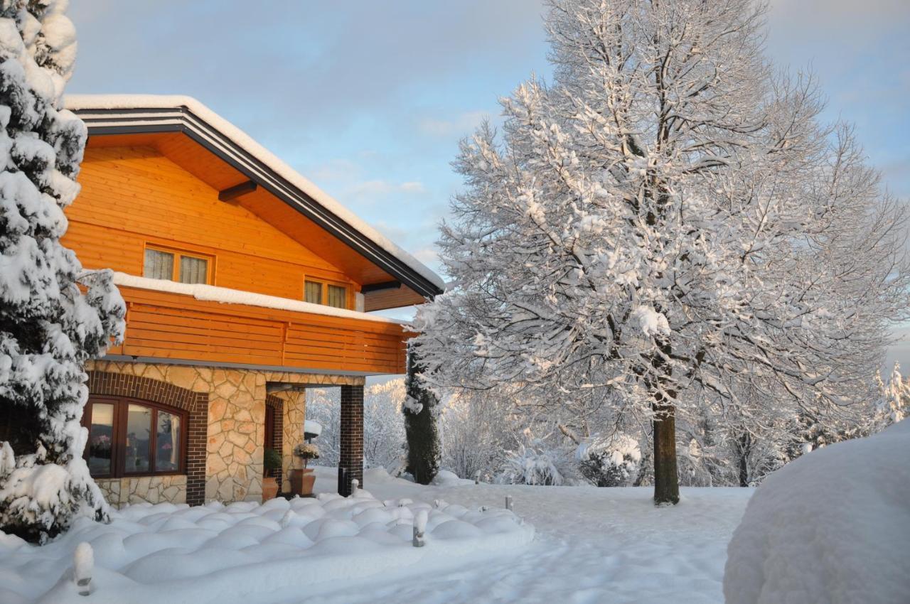 Guesthouse Dolinsek Sevnica Exteriör bild