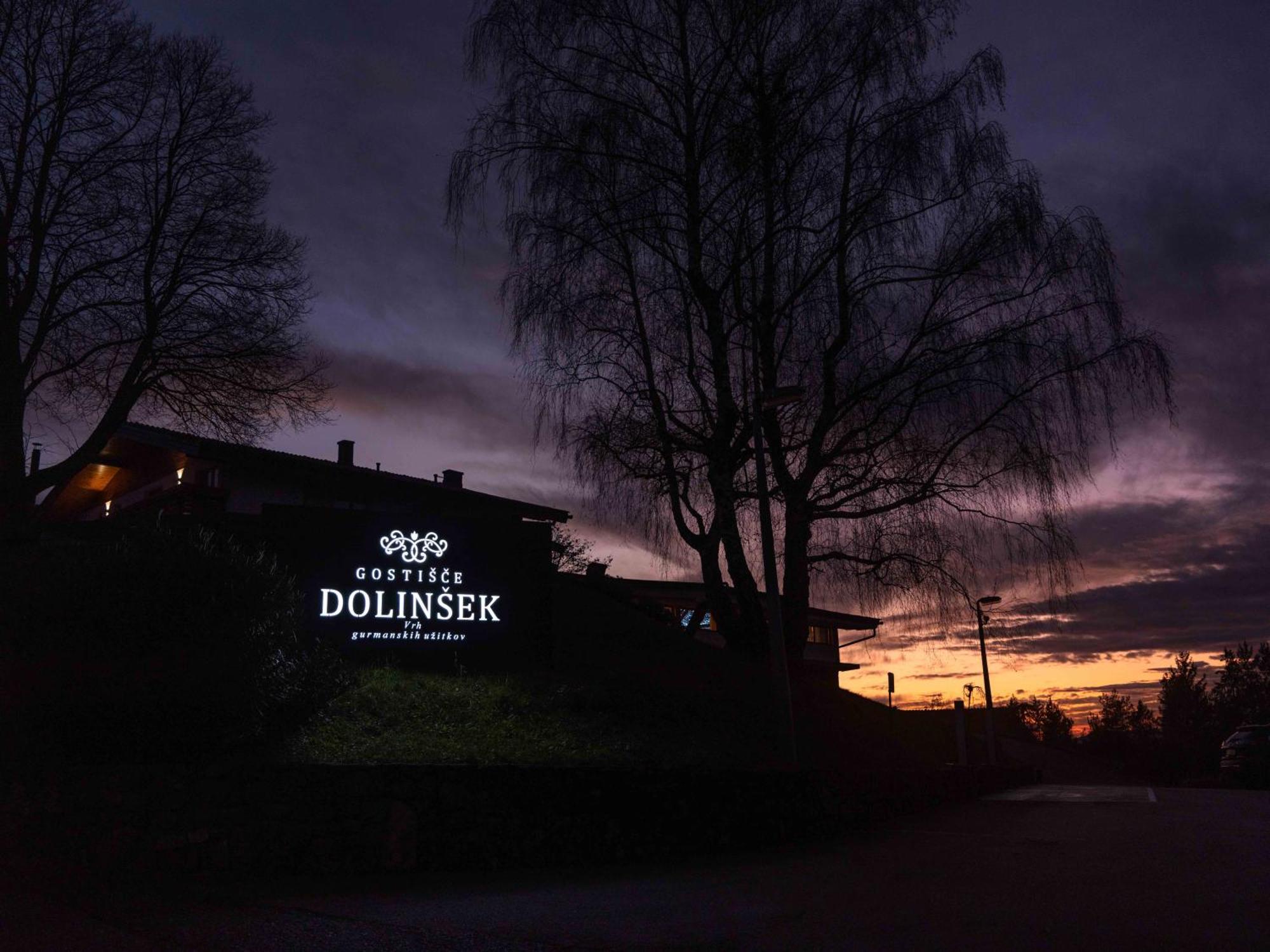 Guesthouse Dolinsek Sevnica Exteriör bild